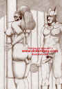 TrainMSSOneWEB 07.jpg (81085 bytes)