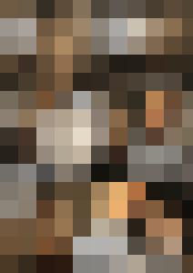 Naked Agent