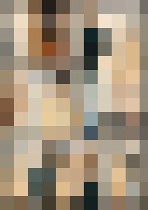 Naked Agent