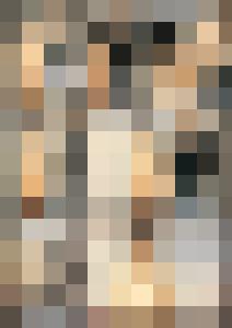 Naked Agent