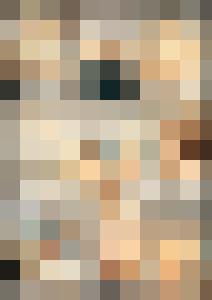 Naked Agent