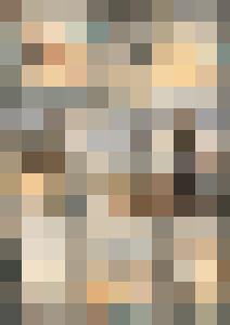 Naked Agent