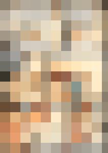 Naked Agent
