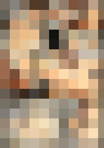 Naked Agent