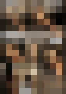 Naked Agent