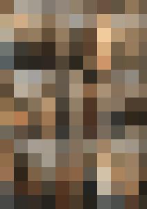 Naked Agent