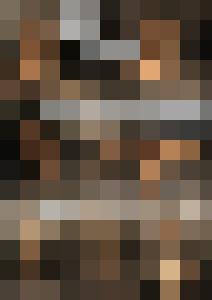 Naked Agent
