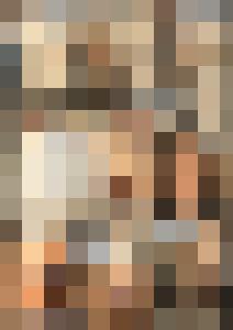 Naked Agent