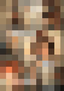 Naked Agent