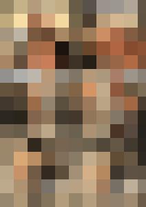 Naked Agent