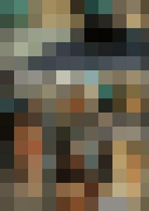 Naked Agent