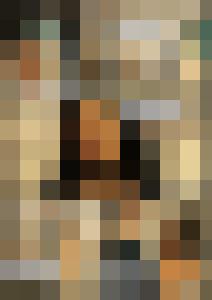 Naked Agent