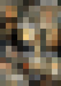 Naked Agent