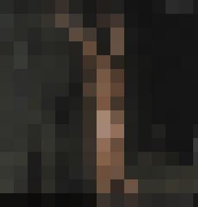The Farmer´s Daughter