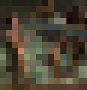 Barbarian Queen