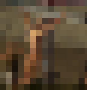Barbarian Queen