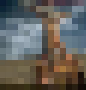 Barbarian Queen
