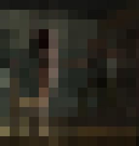 Gestapo´s Victim Day 2