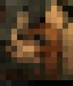 Inquisition