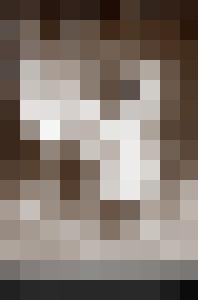 Anal Pics