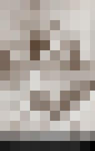 Anal Pics