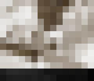 Anal Pics