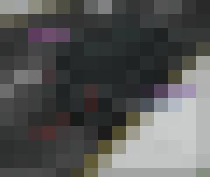 Black Van 7