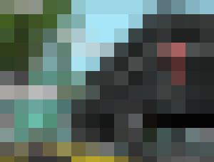 Black Van 7