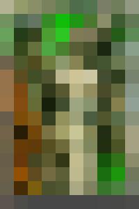 Mystery