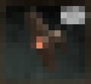 Dark Universe