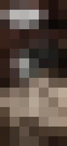 Dark Universe