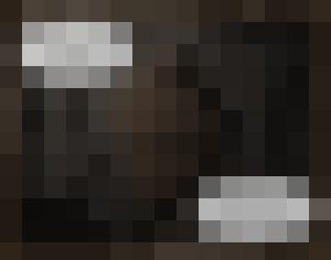 Dark Universe