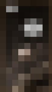 Dark Universe