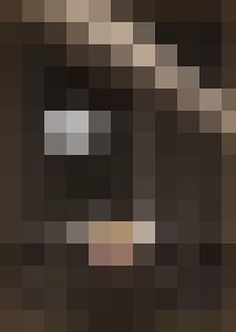 Dark Universe