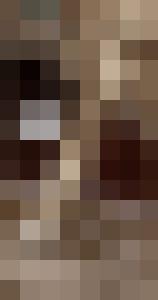 Dark Universe