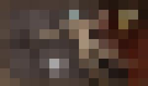 Dark Universe