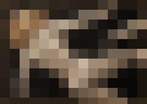 Dark Universe