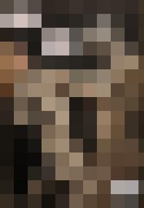 Dark Universe