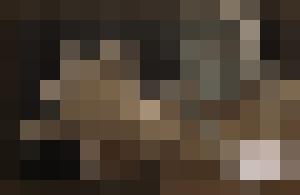 Dark Universe
