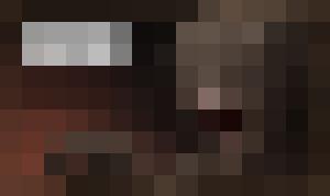 Dark Universe