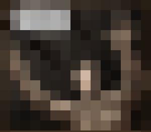 Dark Universe