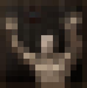 Dark Universe
