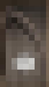 Dark Universe