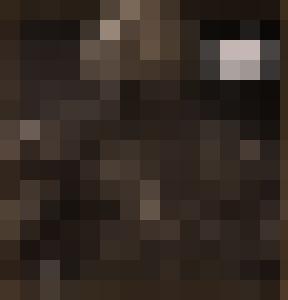 Dark Universe