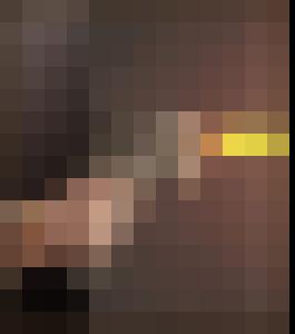 Dark Universe