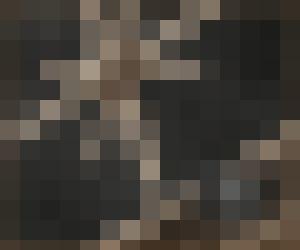 Dark Universe 2