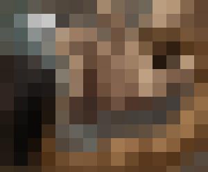 The Levite and his Concubine