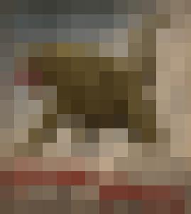 The Levite and his Concubine