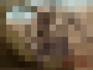 The Levite and his Concubine