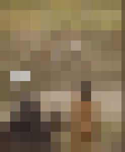 The Levite and his Concubine
